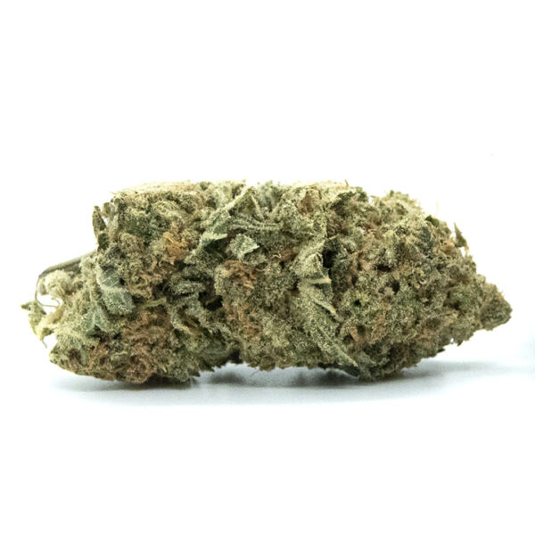 Buy Super Silver Haze Strain Online UK