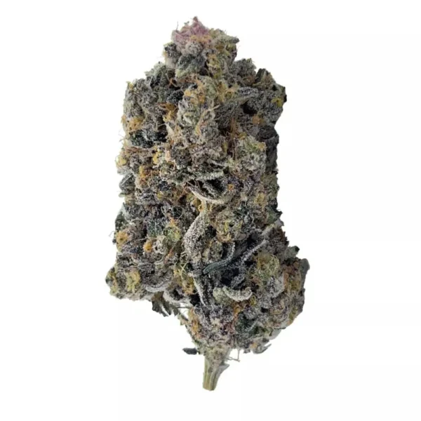 Buy Tropicana Cookies Strain Online UK